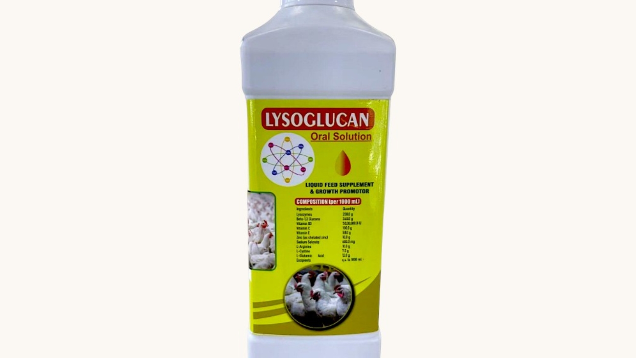 Lysoglucam
