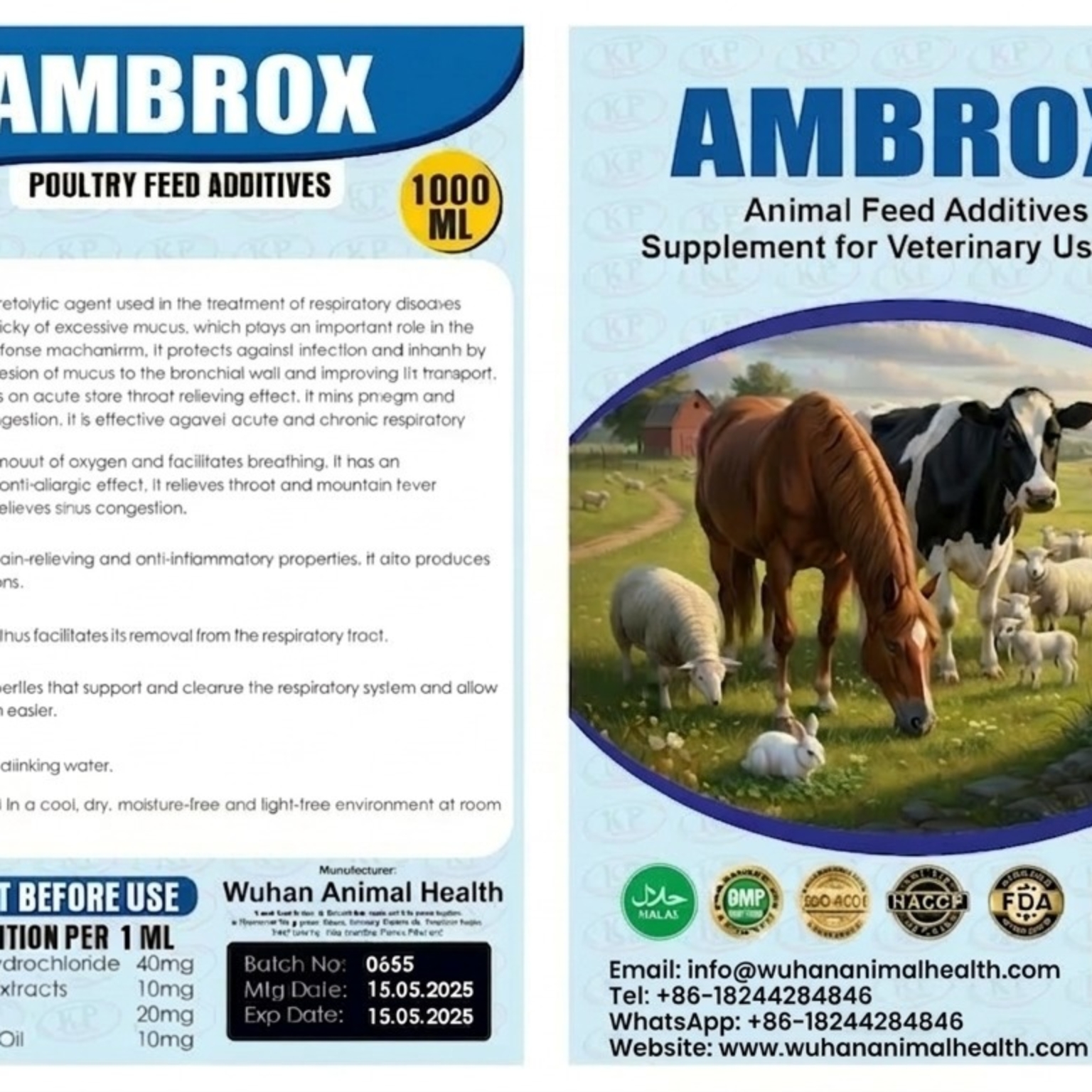 WhatsApp Image 2026-03-13 at 10.14.35 AM (1)