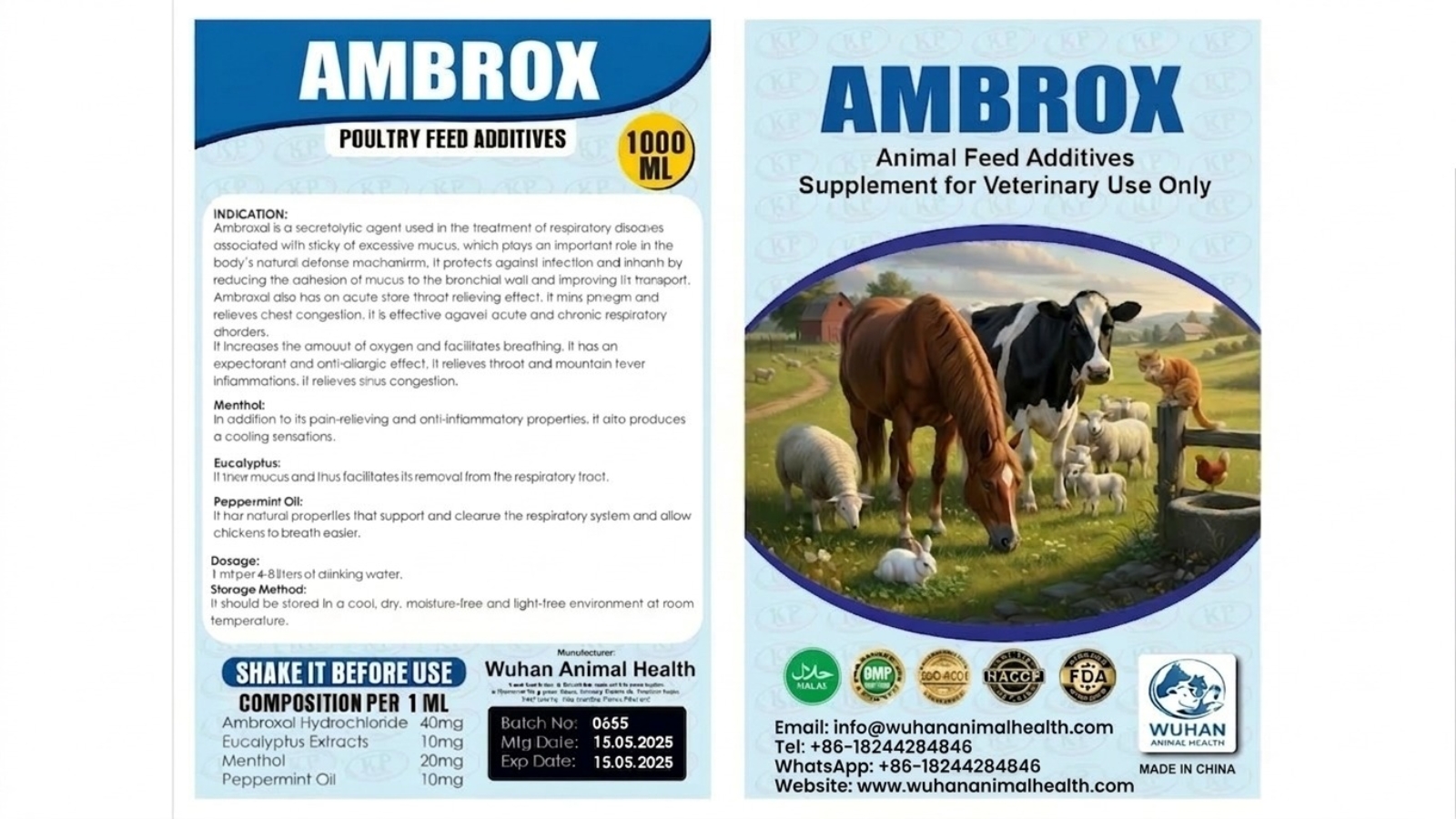 WhatsApp Image 2026-03-13 at 10.14.35 AM (1)