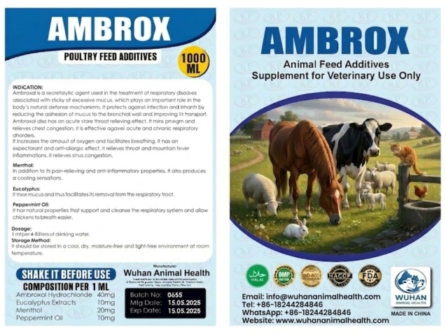 WhatsApp Image 2026-03-13 at 10.14.35 AM (1)