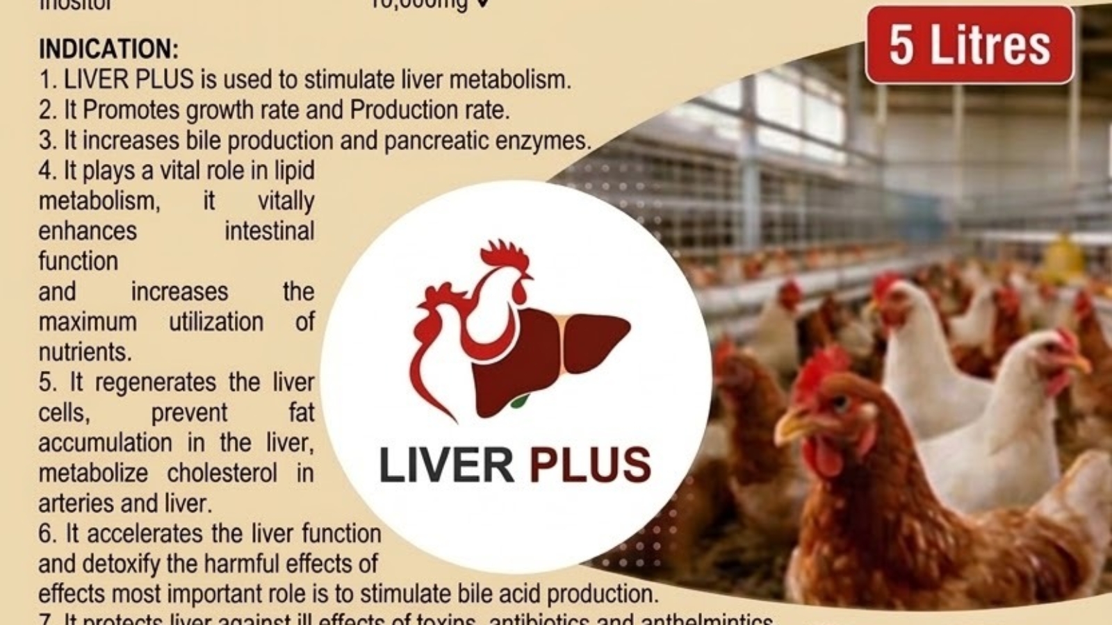 WhatsApp Image 2026-03-13 at 10.14.35 AM (2)