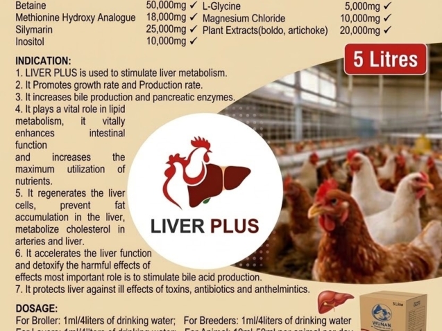 WhatsApp Image 2026-03-13 at 10.14.35 AM (2)