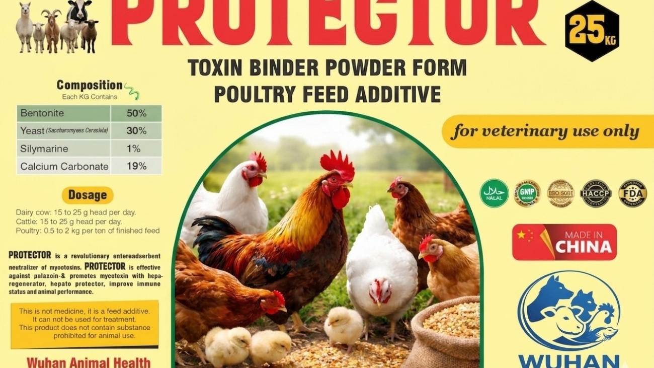 WhatsApp Image 2026-03-13 at 10.14.35 AM