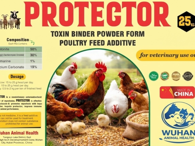 WhatsApp Image 2026-03-13 at 10.14.35 AM